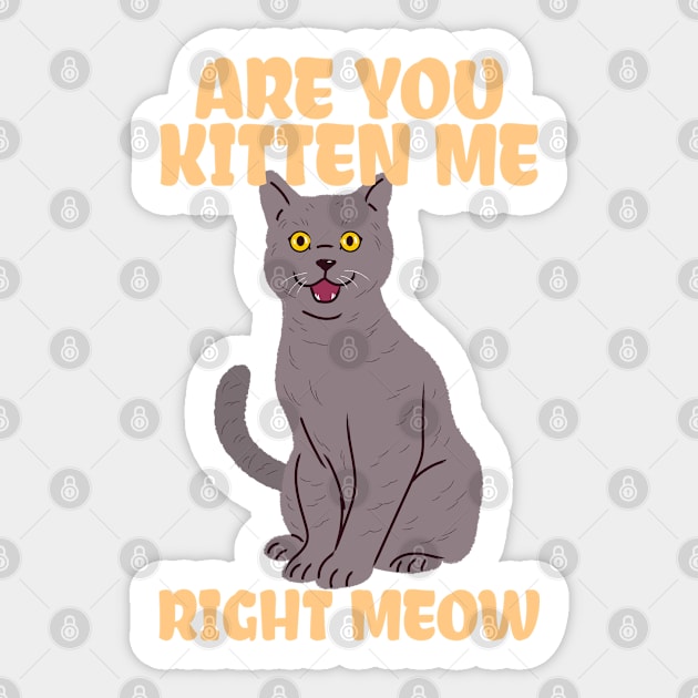 are you kitten me right meow cat kitting kidding Sticker by auviba-design